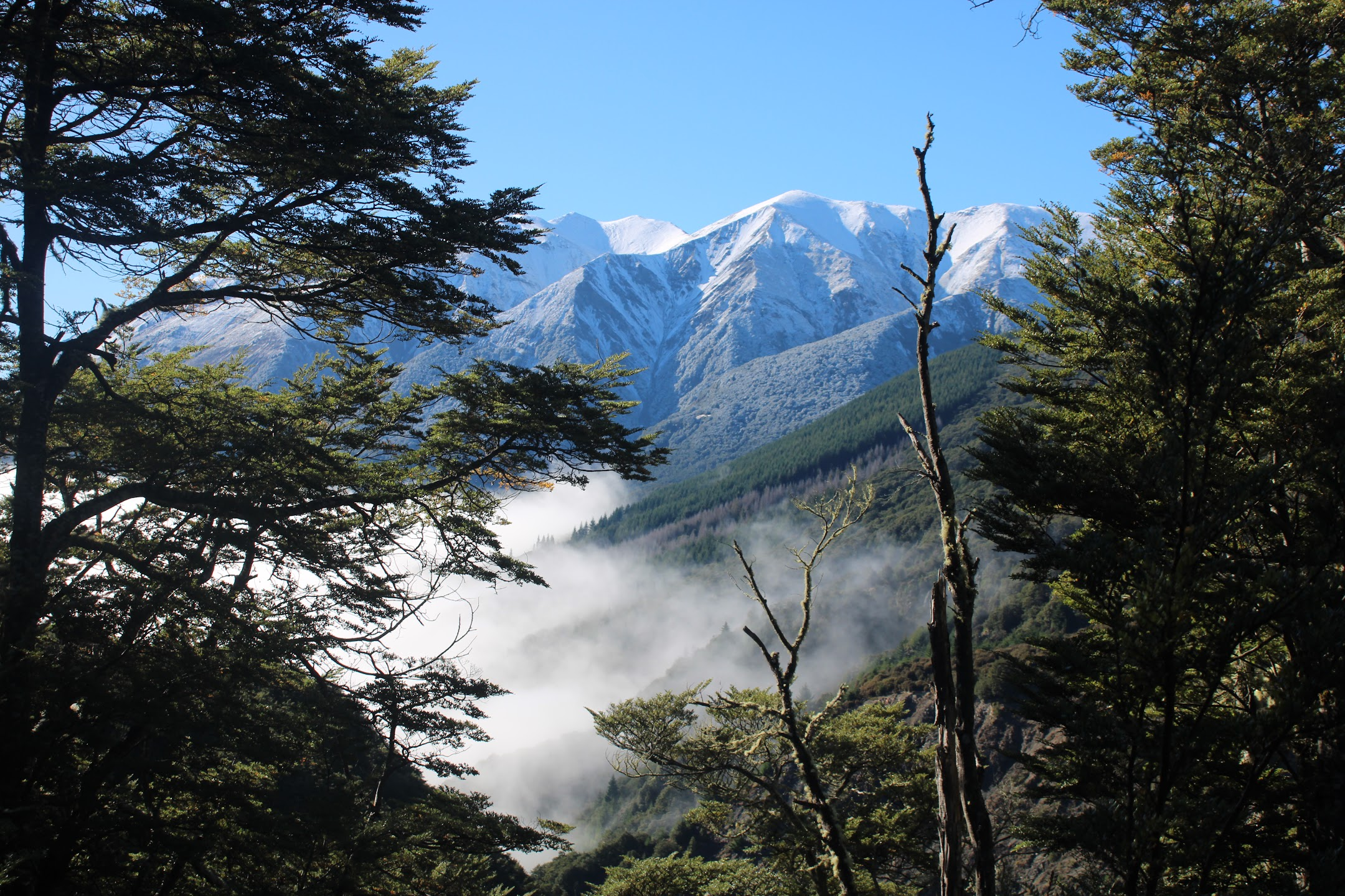 Avoka Valley