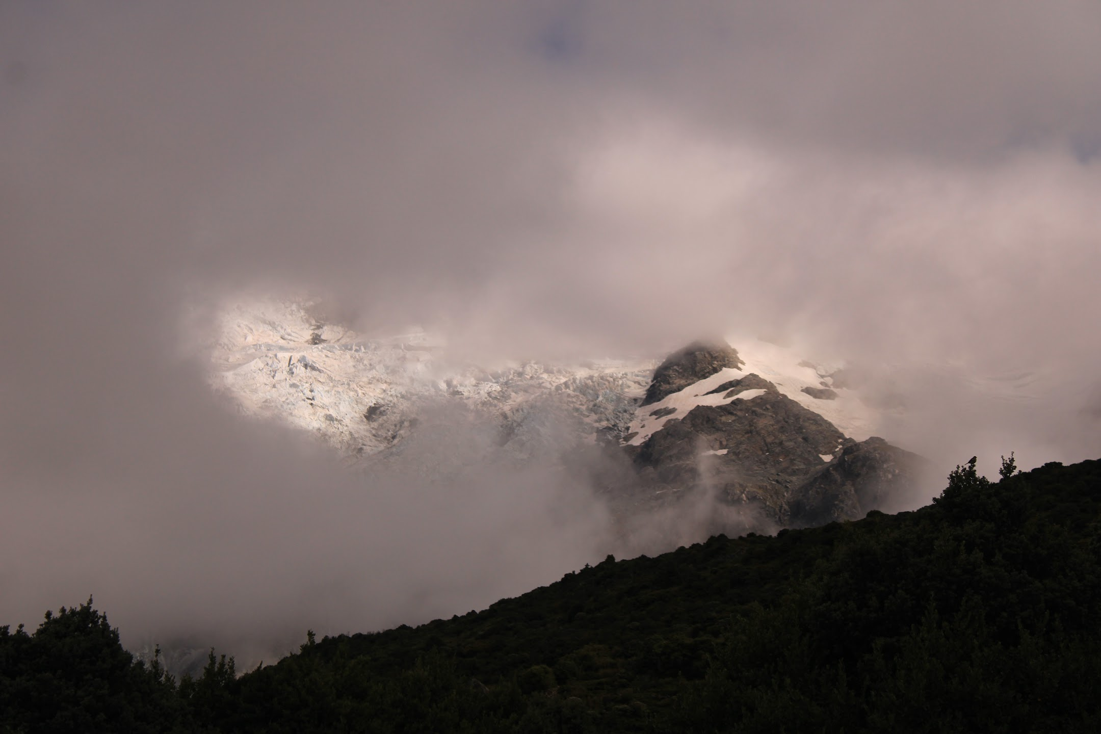 Misty view of Mount Cook