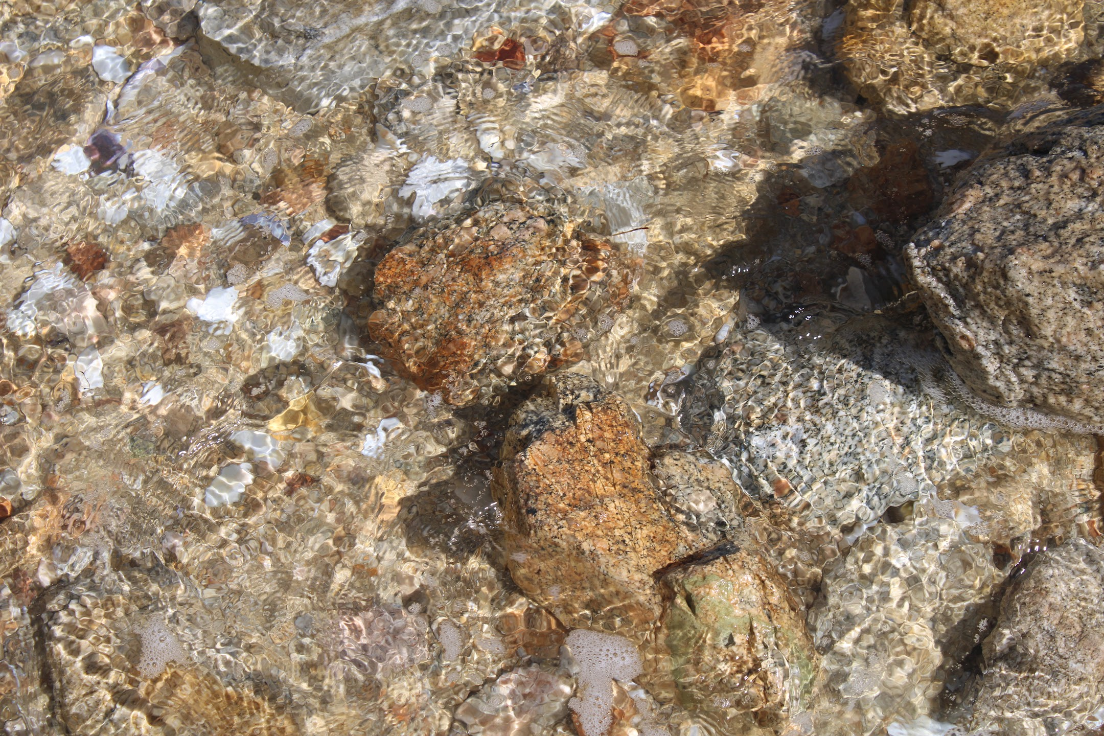 Close-up at Nelson Beach