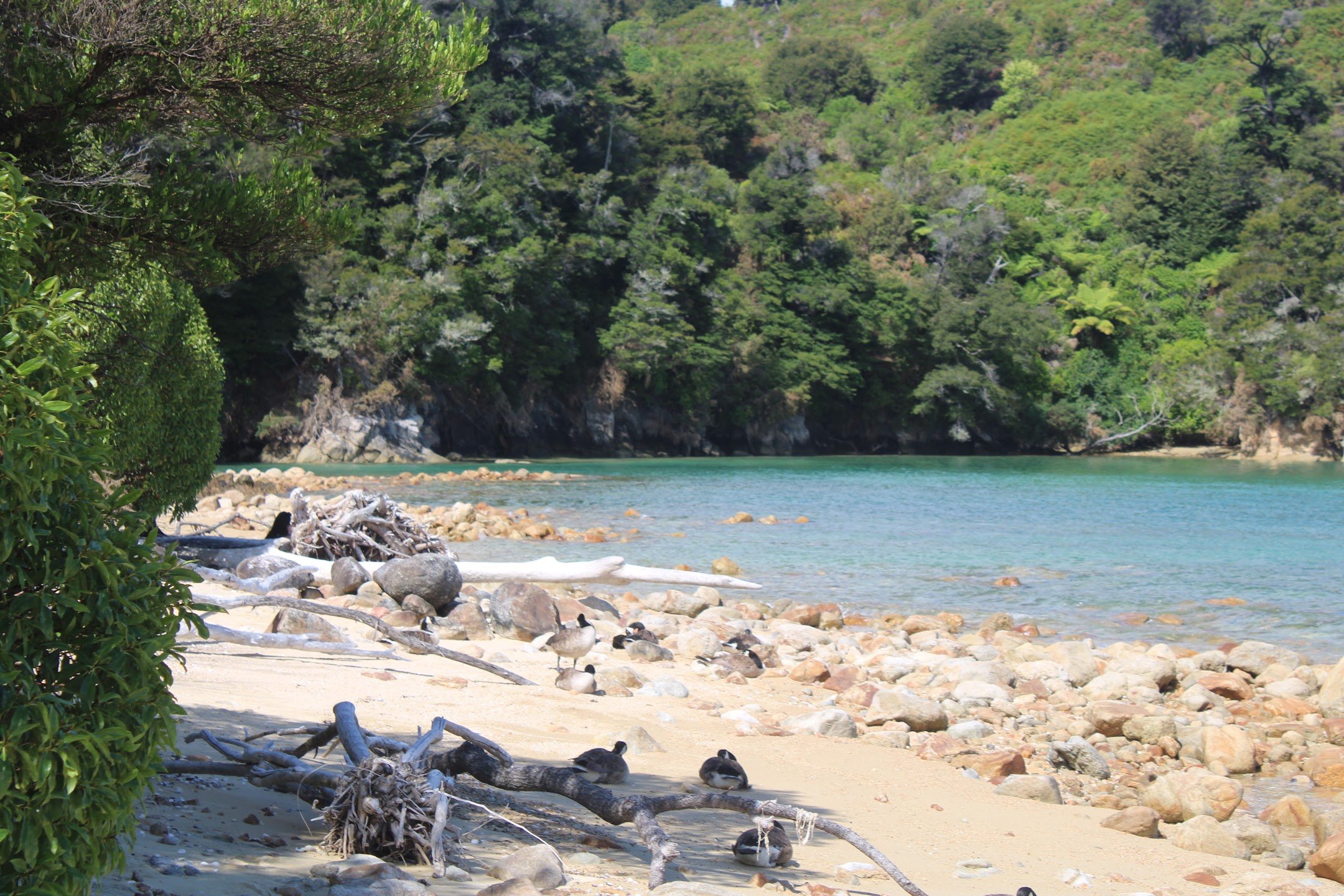Nelson Beach